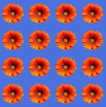 Floral pattern Stock Photos