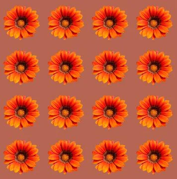 Floral pattern Stock Photos