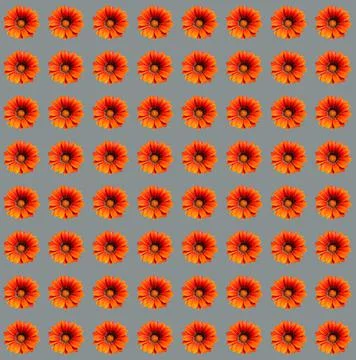 Floral pattern Stock Photos