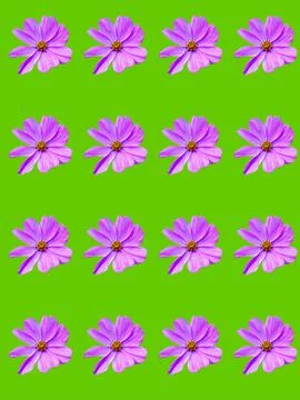 Floral pattern Stock Photos