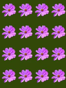 Floral pattern Stock Photos