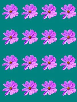 Floral pattern Stock Photos