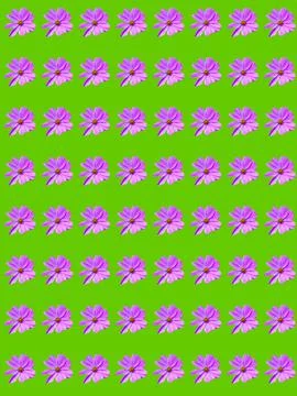 Floral pattern Stock Photos