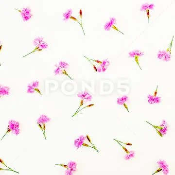 Floral pattern with pink flowers on white background. Flat lay, Top view. Flo Stock Photos
