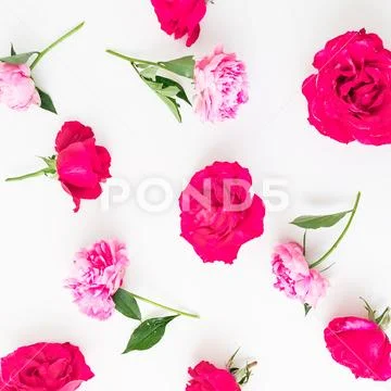 Floral pattern of pink roses and peonies on white background. Flat lay, Top v Stock Photos