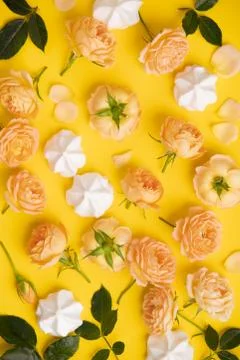 Floral pattern with pink roses and merengues on yellow background Stock Photos