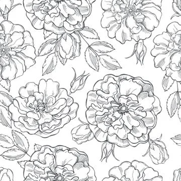 Floral pattern  with roses on white background Stock Illustration
