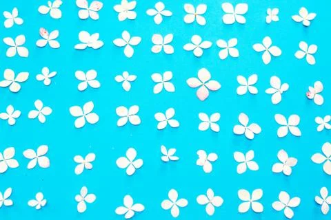 Floral pattern with small petals hydrangea and petals on blue trendy pastel b Stock Photos
