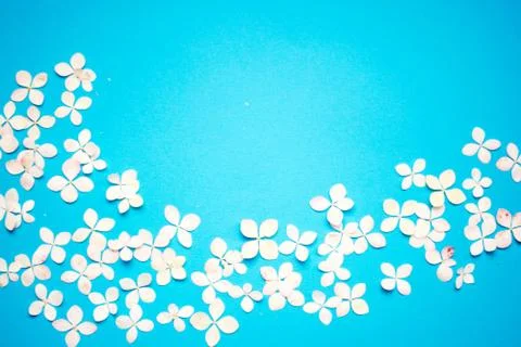 Floral pattern with small petals hydrangea and petals on blue trendy pastel b Foto stock