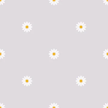 Floral pattern of small white daisies on gray background. Stock Illustration
