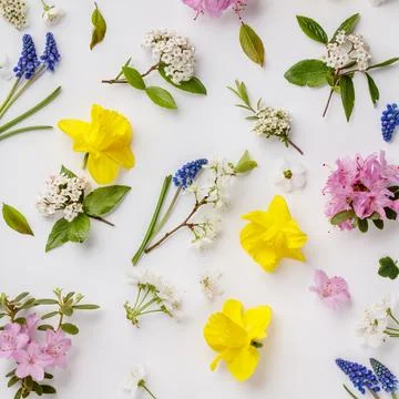 Floral pattern with spring flowers and leaves on white background Stock Photos