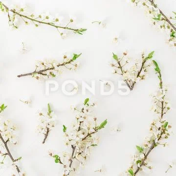 Floral pattern with spring flowers on white background. Flat lay, top view. S Stock Photos