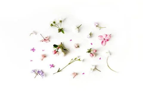 Floral pattern on white background Stock Photos