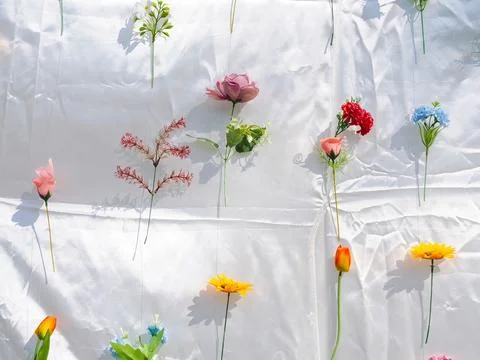 Floral pattern on white background Photos