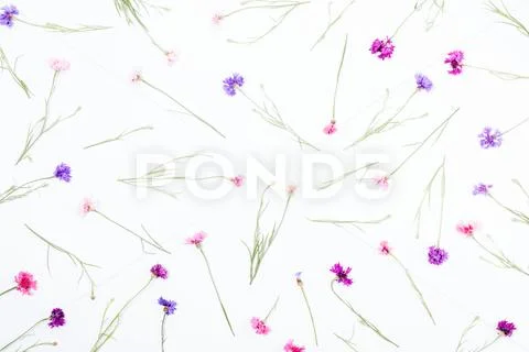 Floral pattern on white background, top view Stock Photos