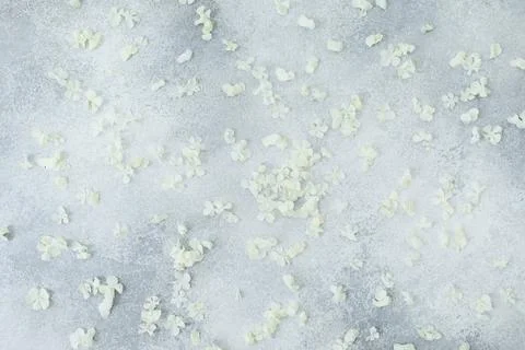 Floral pattern of white petals hydrangea on gray background. Flat lay, Top vi Foto stock