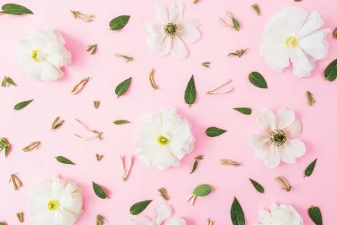 Floral pattern with white spring flowers and leaves on pink background. Flora Stock Photos