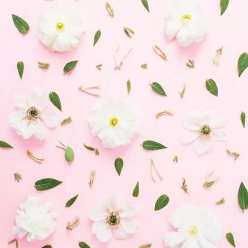 Floral pattern with white spring flowers and leaves on pink background. Flora Foto stock