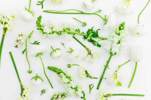 Floral pattern of white spring flowers on white background. Flat lay, top vie Foto stock