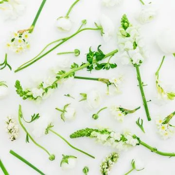 Floral pattern of white spring flowers on white background. Flat lay Stock Photos