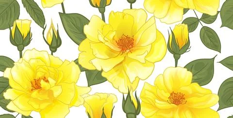 Floral pattern with yellow roses for surface design, as well as packaging and Illustrazione stock