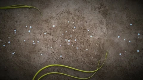 Floral Patterns Producing Inward With Soft White Bubbles Motion Background Stock Footage 143124102