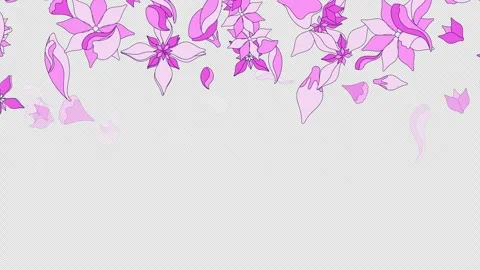 Floral petals falling down top border video overlay Stock Footage 333110241