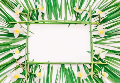 Floral rectangular frame of yellow flowers of daffodils and green leaves on w Stock Photos