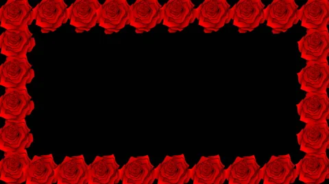 Floral rose design alpha Stock Footage 25130265