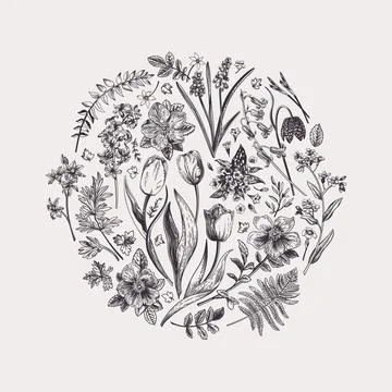 Floral round composition. Illustrazione stock