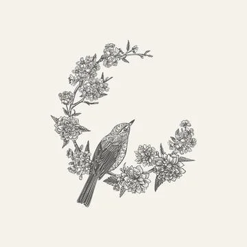 Floral round frame with bird. Illustrazione stock