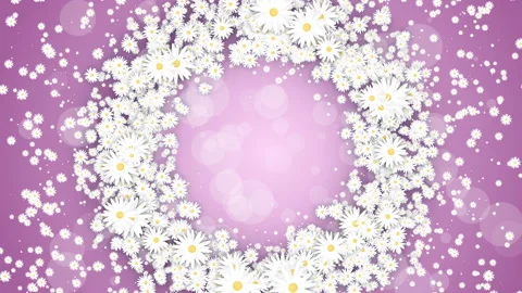 Floral round frame on pink spring background. Small flying daisies flowers Stock Footage 242721518