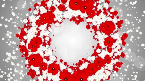 Floral round frame spring background. Small flying white daisies and red poppy Stock Footage 243721549