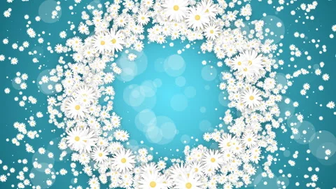 Floral round frame on turquoise spring background. Small flying daisies flowers Stock Footage 243264192