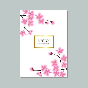 Floral sakura tree branches border around golden rectangle text template Stock Illustration
