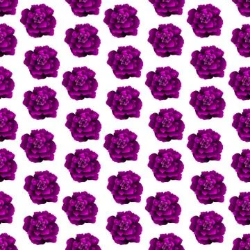Floral seamless background Stock Illustration