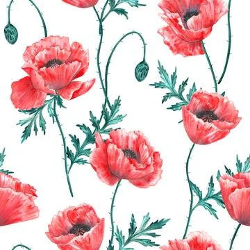 Floral seamless background. Pattern with beautiful watercolor poppy flowers on Stock Illustration