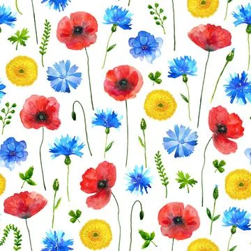 Floral seamless background. Pattern with beautiful watercolor wild meadow Stock Illustration
