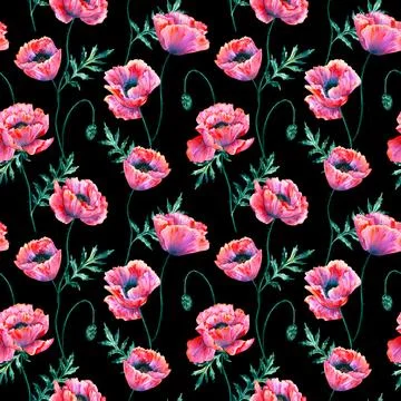Floral seamless background. Pattern with beautiful watercolor poppy flowers Stock Illustration