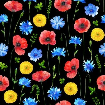 Floral seamless background. Pattern with beautiful watercolor wild meadow Stock Illustration