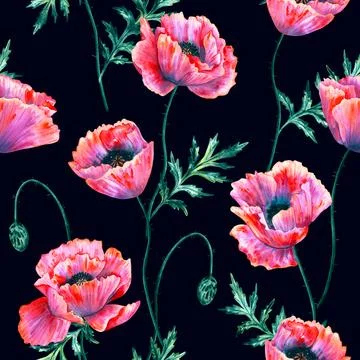 Floral seamless background. Pattern with beautiful watercolor poppy flowers Stock Illustration