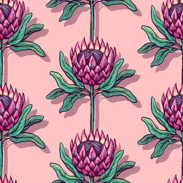Floral seamless background. Pattern with beautiful protea flower. Botanical hand Stock Illustration