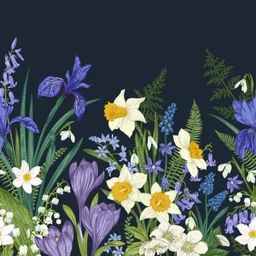 Floral seamless border. Illustrazione stock