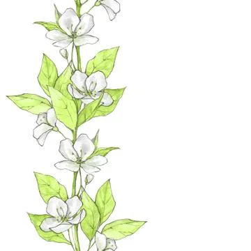 Floral seamless pattern. Border with green leaves Stock Illustration