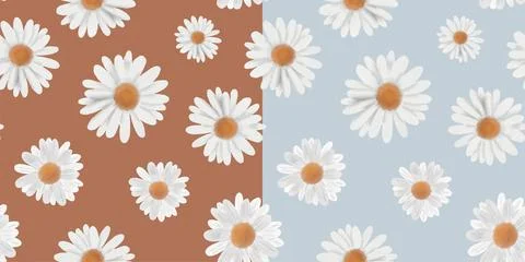 Floral Seamless Pattern with Chamomile Flowers. Natural Background with Daisy Stock Illustration