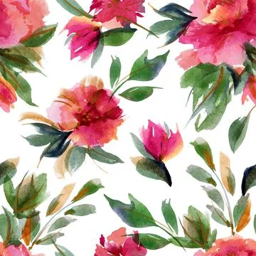 Floral seamless pattern with chrysanthemums Stock Illustration