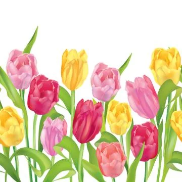 Floral seamless pattern. Flower background. Flourish garden border Stock Illustration