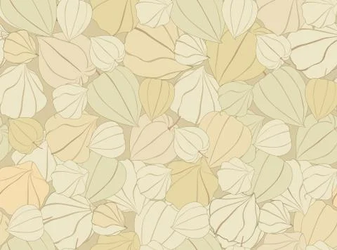 Floral seamless pattern. Flower background. Flourish garden texture Stock Illustration