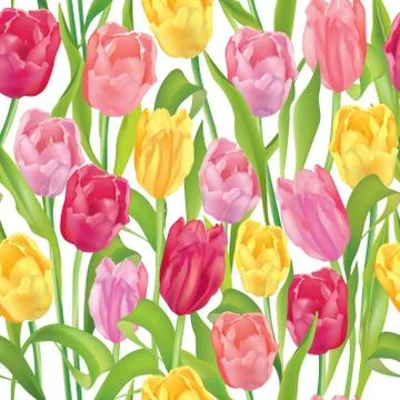 Floral seamless pattern. Flower background. Flourish garden border Stock Illustration