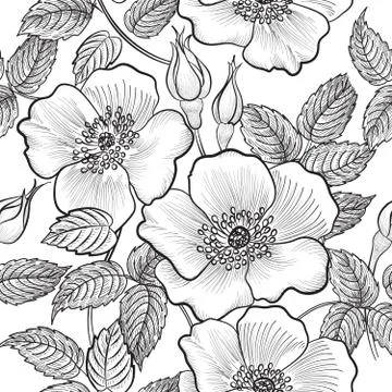Floral seamless pattern. Flower background. Flourish garden texture Stock Illustration